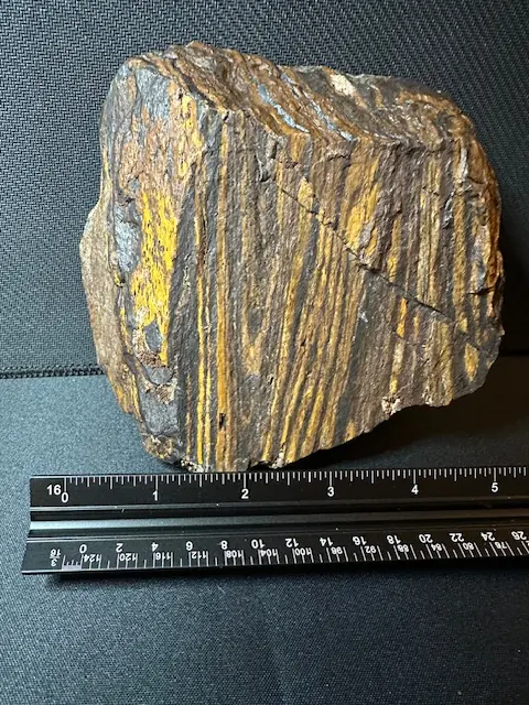 Yellow Jacket Jasper